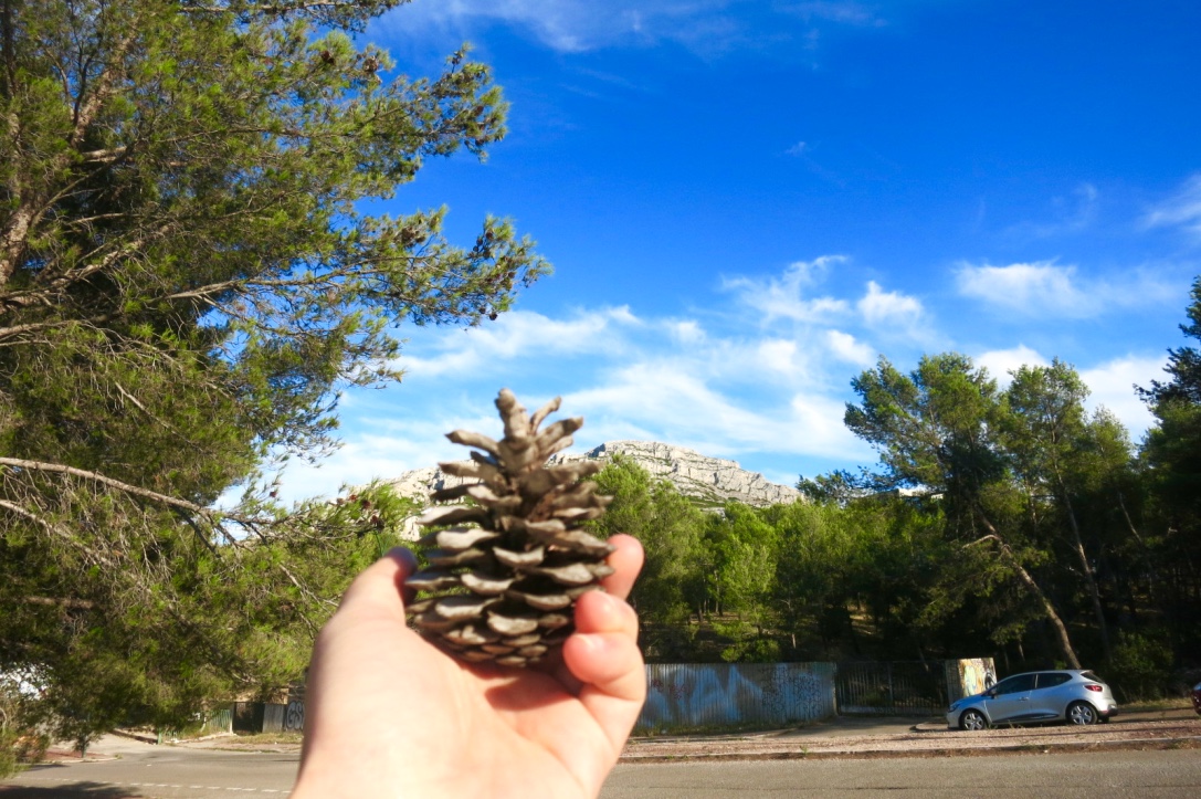 Thumb Img 8404 1024