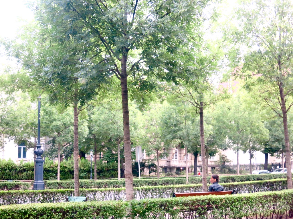 Thumb Img 7193 1024