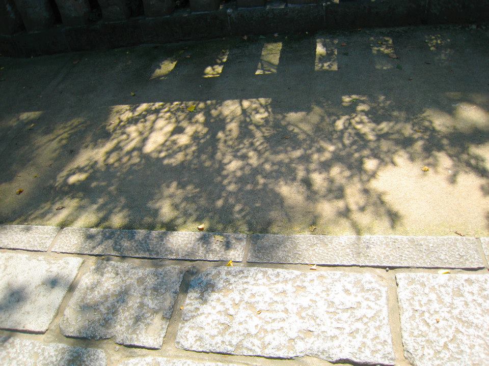 1383212 10151958726834485 1432448271 N
