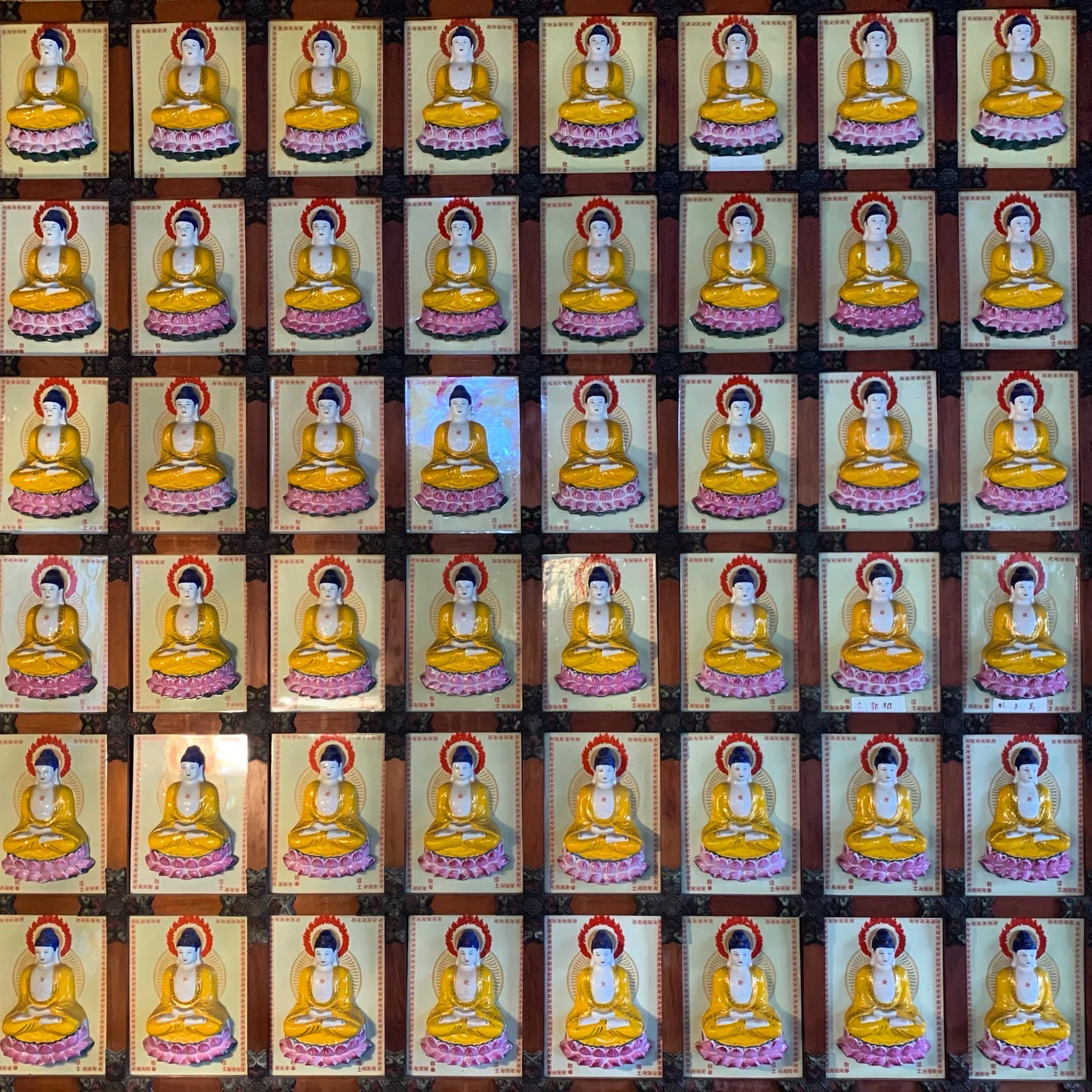432462899 10161384526674485 5985970694597427393 N