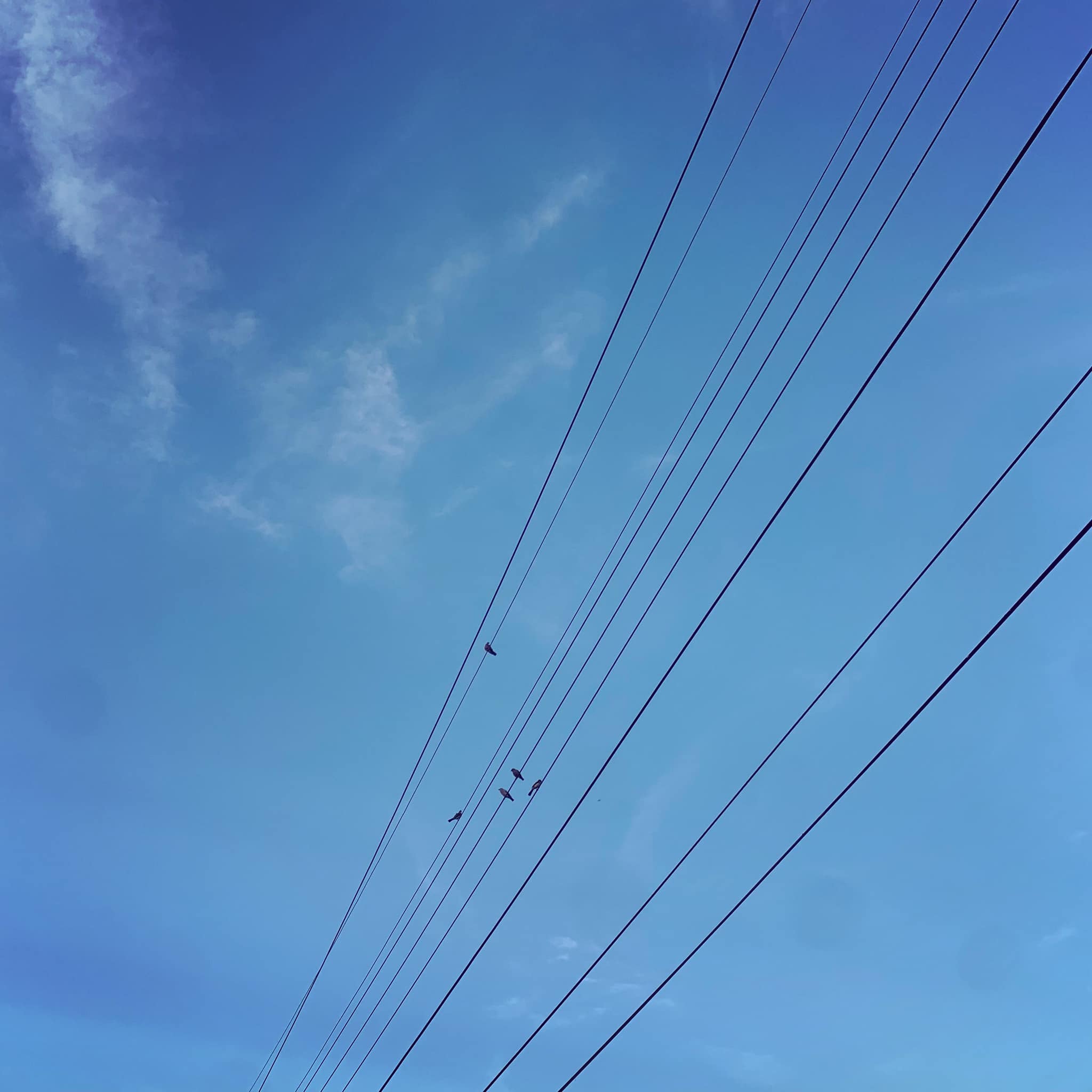 434193997 10161392855284485 4403911866229913737 N