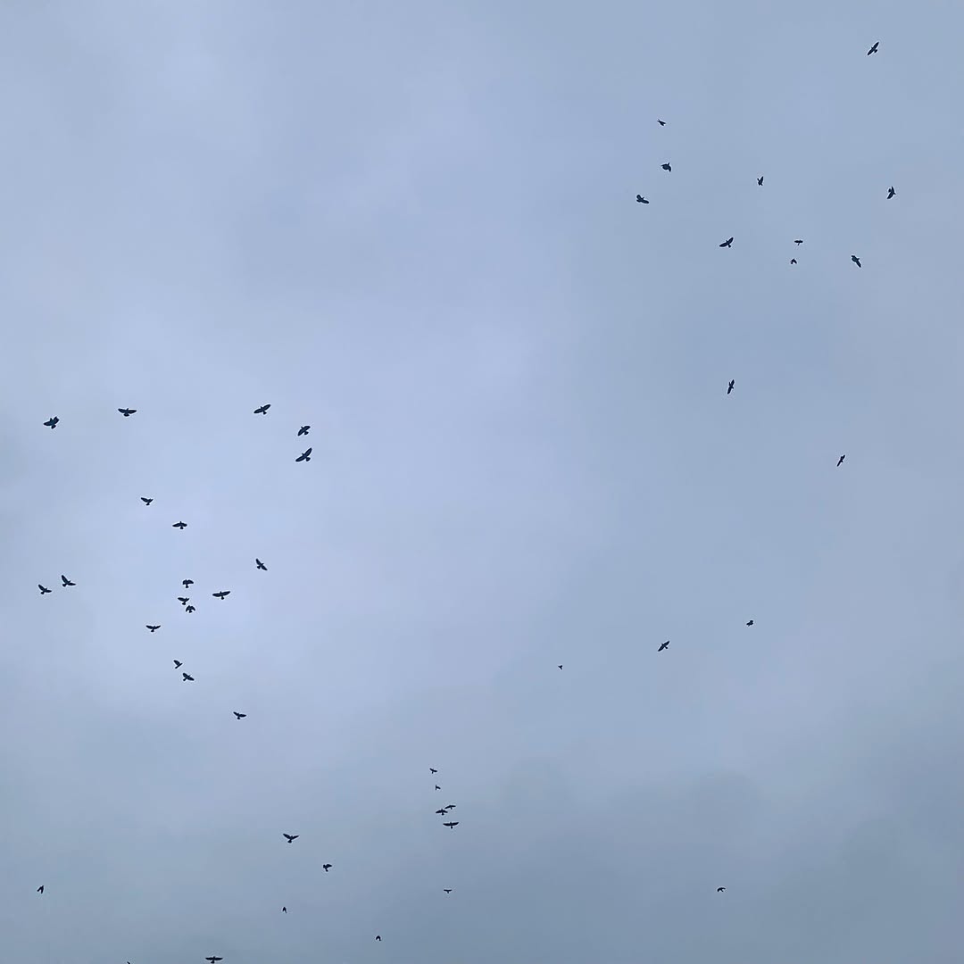 528632130 10163203277434485 3505711597441544063 N