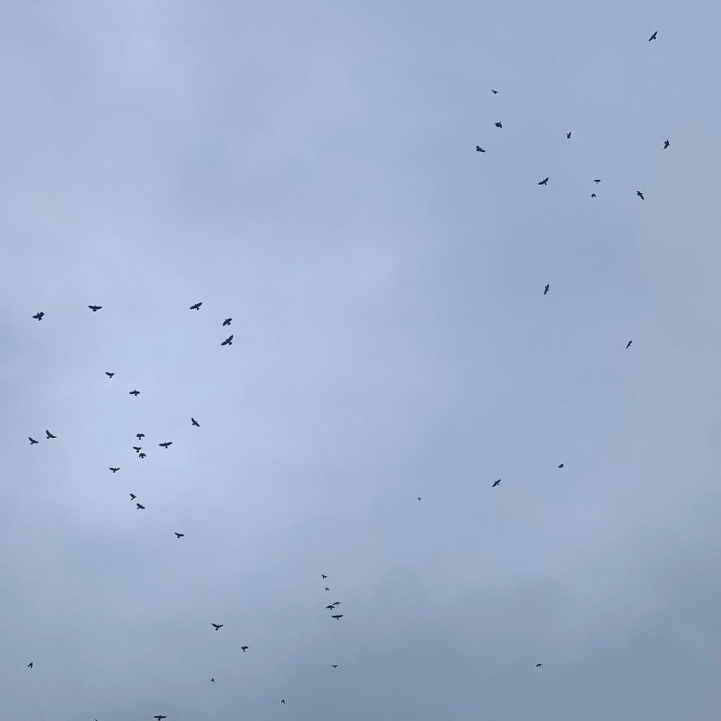 528632130 10163203277434485 3505711597441544063 N 1024x1024