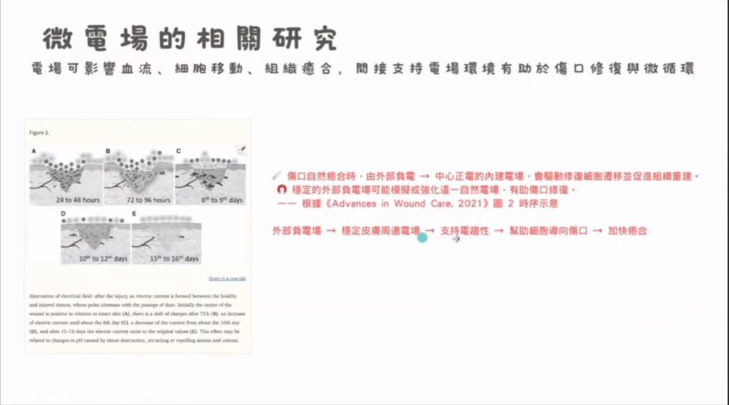 人體微電流