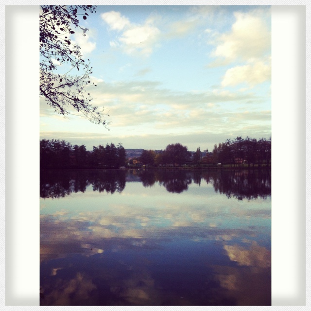 Img 2765 1024