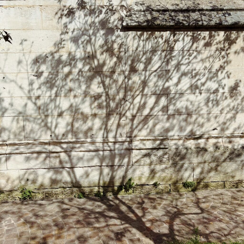 S 9846793 1024x1024
